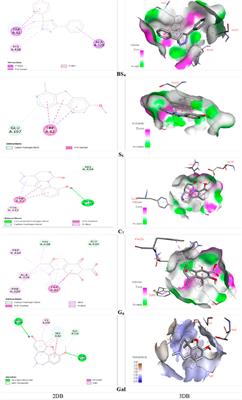 Antioxidant and anticholinesterase properties of Echinometra mathaei and Ophiocoma erinaceus venoms from the Persian Gulf